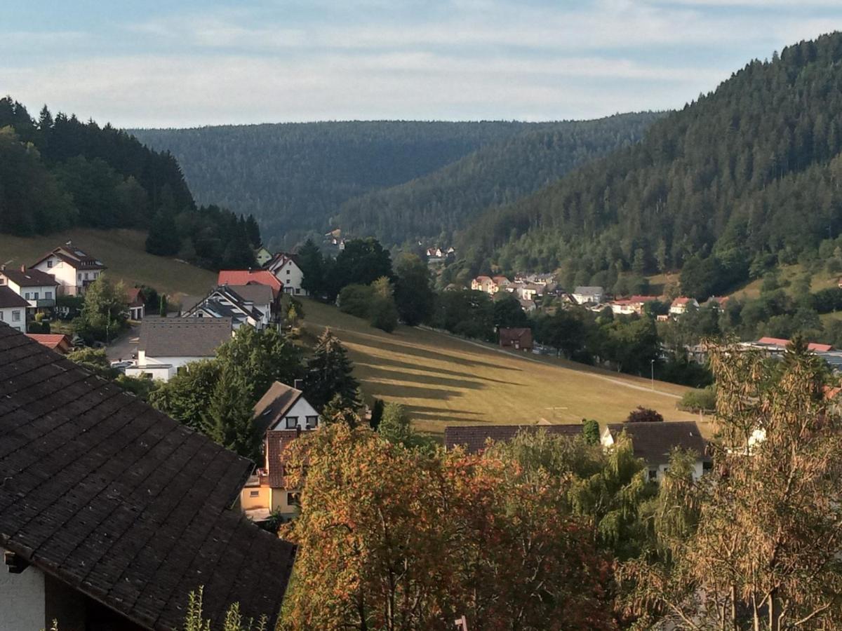 Waldblick Daire Baiersbronn Dış mekan fotoğraf
